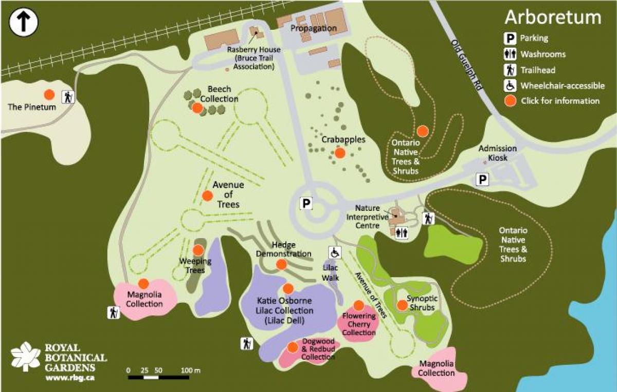 નકશો RBG Arboretum
