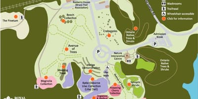 નકશો RBG Arboretum