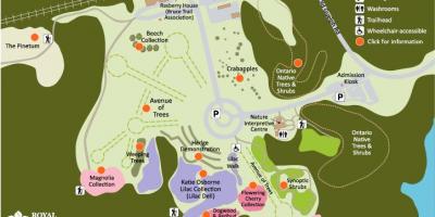 નકશો RBG Arboretum